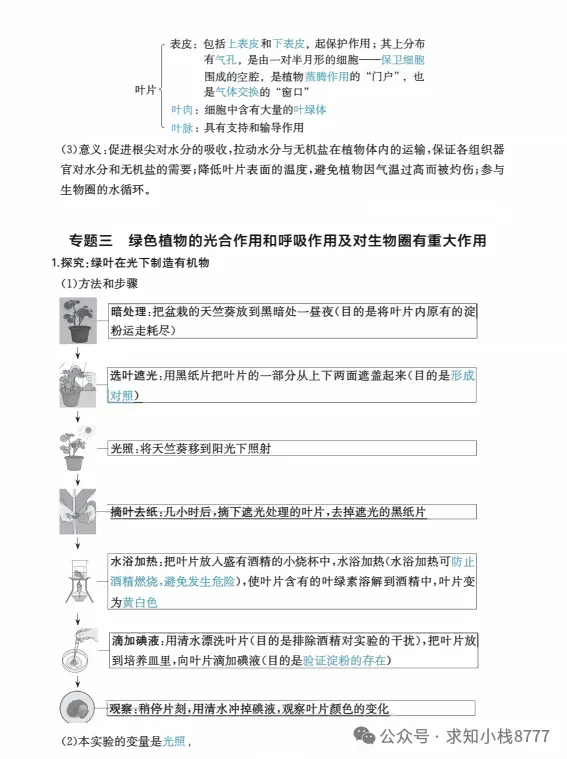 西藏2026年【生物】小中考冲刺生物重点知识||2026生地会考-第13张图片-四季读书网