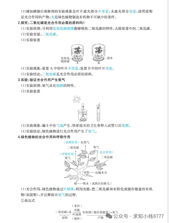 西藏2026年【生物】小中考冲刺生物重点知识||2026生地会考-第14张图片-四季读书网