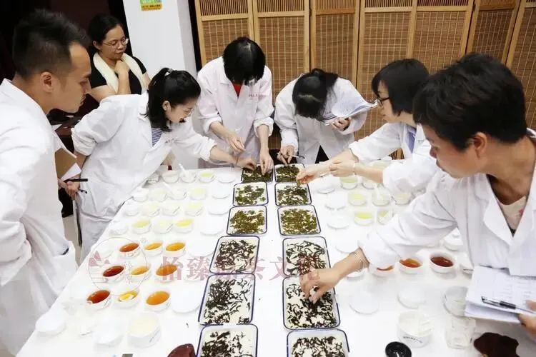 评茶员-高级模拟练习题(含答案)考试学习!-第2张图片-四季读书网