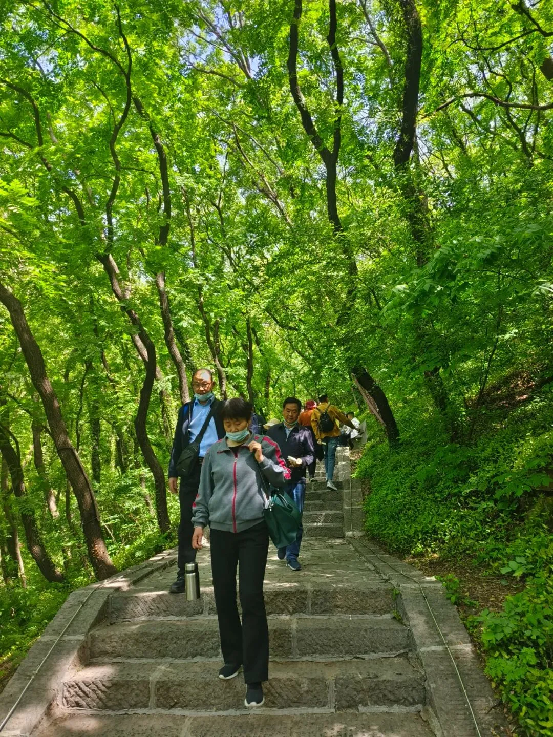 中考高学子专属特惠丨抱犊崮清凉一夏·潮玩避暑狂欢季来了!-第8张图片-四季读书网 中考高学子专属特惠丨抱犊崮清凉一夏·潮玩避暑狂欢季来了!-第8张图片-四季读书网