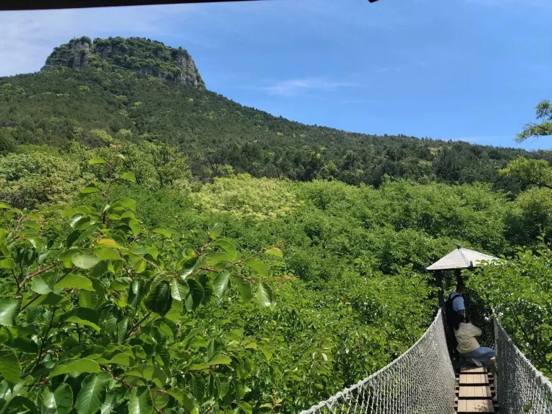 中考高学子专属特惠丨抱犊崮清凉一夏·潮玩避暑狂欢季来了!-第13张图片-四季读书网 中考高学子专属特惠丨抱犊崮清凉一夏·潮玩避暑狂欢季来了!-第13张图片-四季读书网
