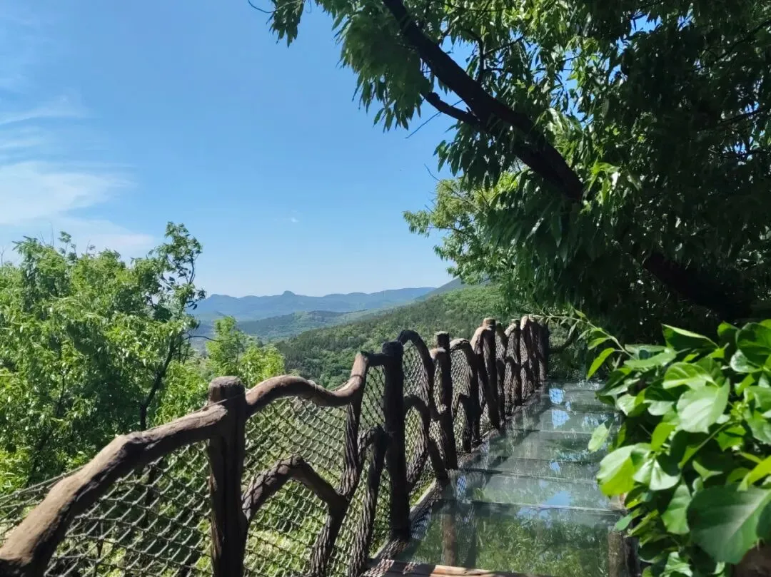 中考高学子专属特惠丨抱犊崮清凉一夏·潮玩避暑狂欢季来了!-第14张图片-四季读书网 中考高学子专属特惠丨抱犊崮清凉一夏·潮玩避暑狂欢季来了!-第14张图片-四季读书网