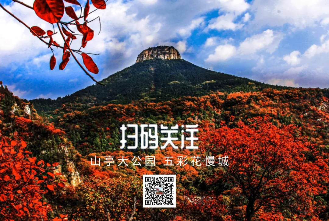 中考高学子专属特惠丨抱犊崮清凉一夏·潮玩避暑狂欢季来了!-第38张图片-四季读书网 中考高学子专属特惠丨抱犊崮清凉一夏·潮玩避暑狂欢季来了!-第38张图片-四季读书网