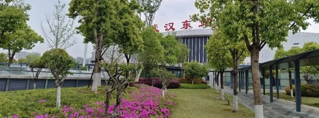 2026年中考升学形势分析(一)-第5张图片-四季读书网 2026年中考升学形势分析(一)-第5张图片-四季读书网