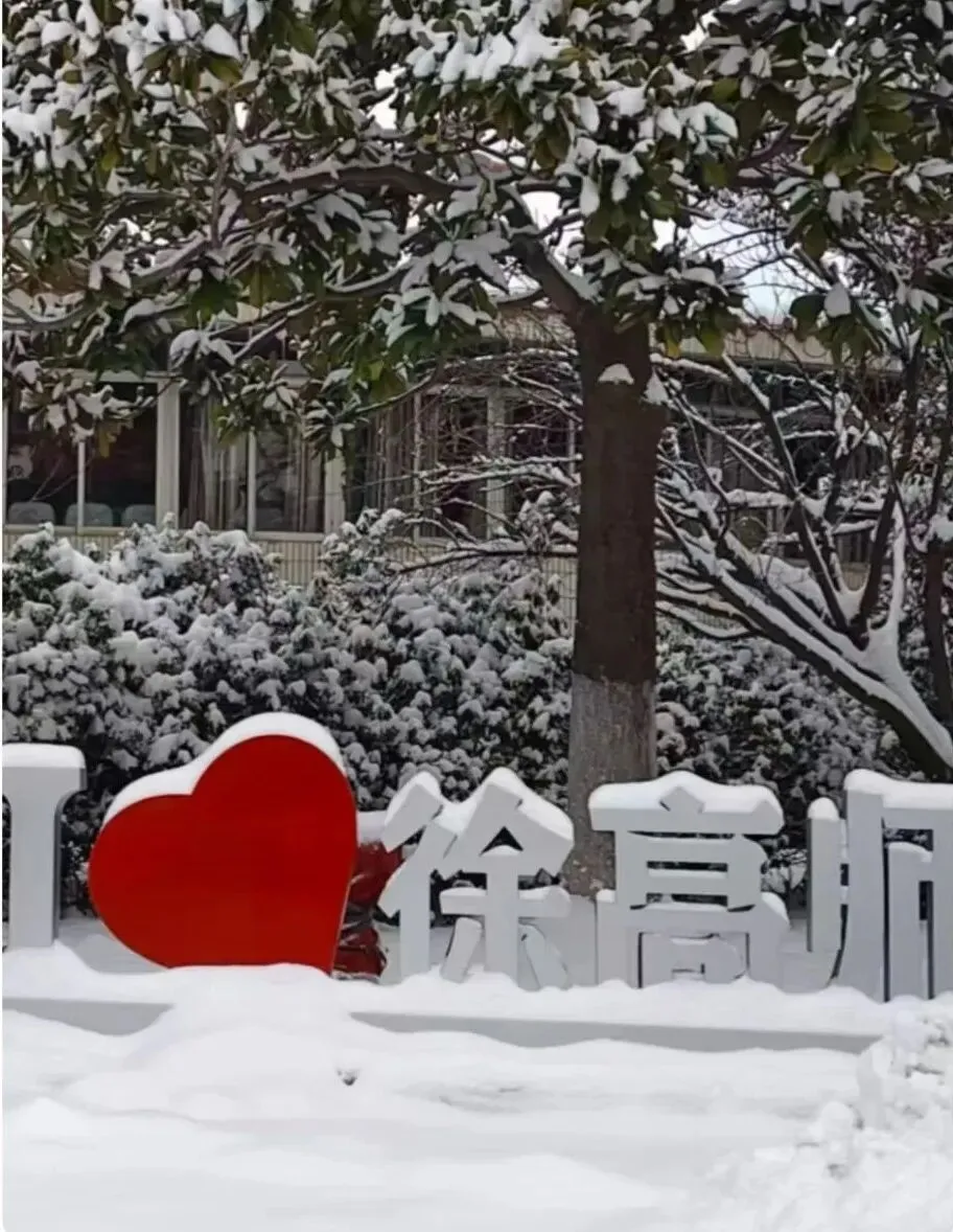 藏得太深!中考400+都能读本科!-第12张图片-四季读书网