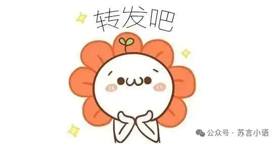 藏得太深!中考400+都能读本科!-第13张图片-四季读书网