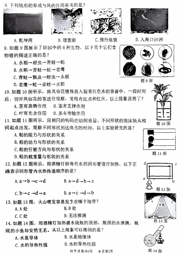 速领!佛山中小学1-6年级往年各区期末真题-第15张图片-四季读书网 速领!佛山中小学1-6年级往年各区期末真题-第15张图片-四季读书网