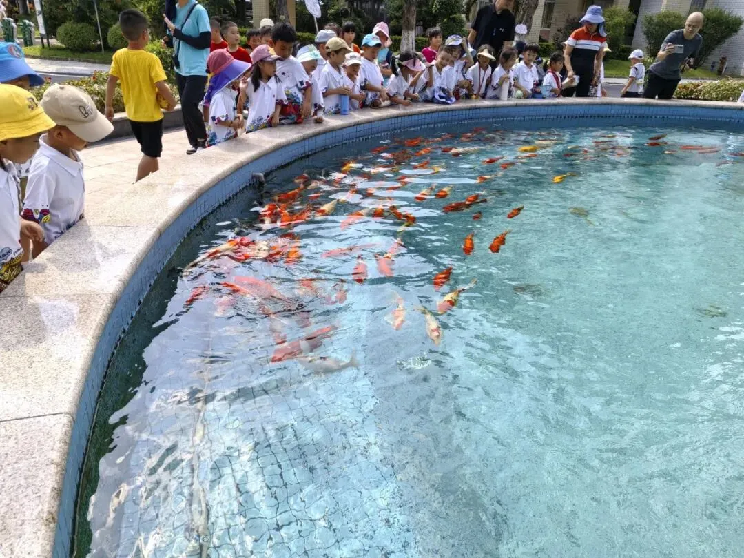 【校园联动】小小萌娃送祝福 暖心鼓劲迎中考 ——麻涌镇中心幼儿园走进“麻涌镇古梅第一中学”社区联动活动-第40张图片-四季读书网
