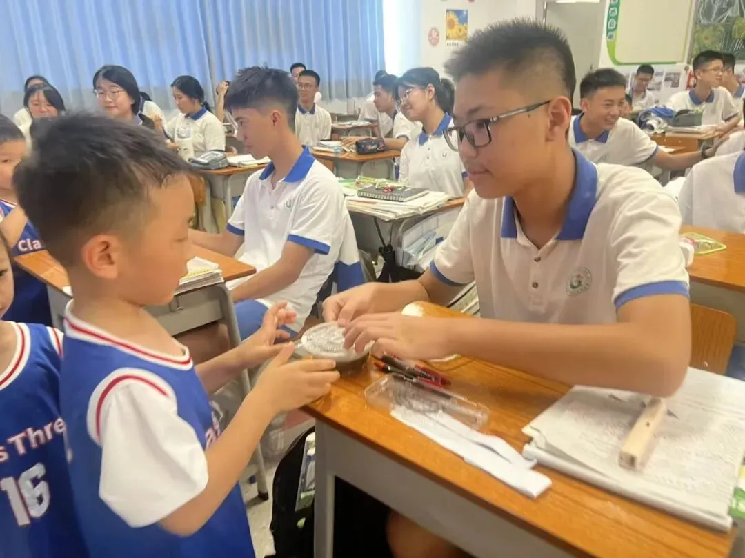 【校园联动】小小萌娃送祝福 暖心鼓劲迎中考 ——麻涌镇中心幼儿园走进“麻涌镇古梅第一中学”社区联动活动-第55张图片-四季读书网