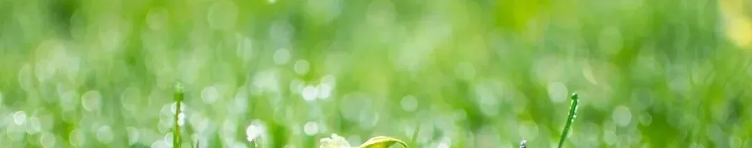 【百校文库】海量专业课真题在库,点击查询-第1张图片-四季读书网 【百校文库】海量专业课真题在库,点击查询-第1张图片-四季读书网