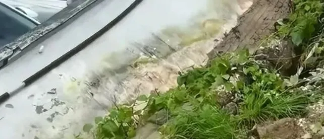 长沙一学校高三试卷卷尾语看哭:答题至此收尾,或许,老师只能护送你们到这儿了-第9张图片-四季读书网