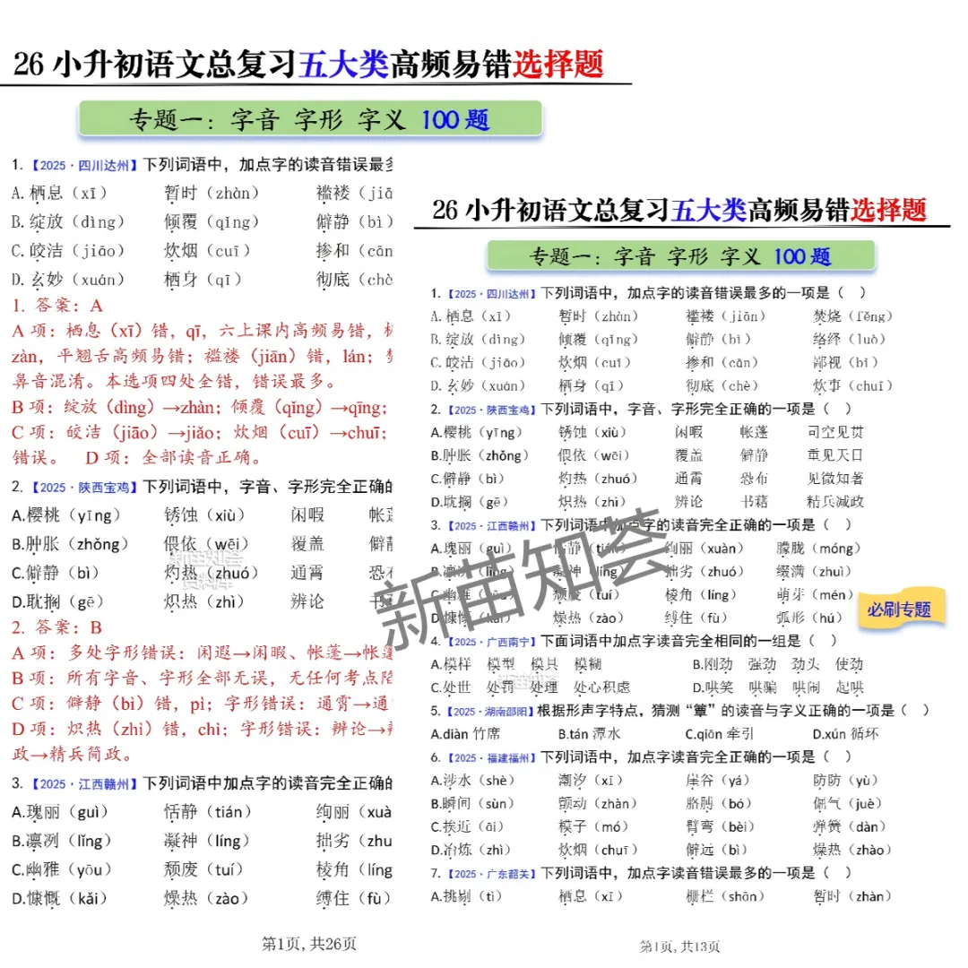 小升初语文期末复习五大真题专项练习-第3张图片-四季读书网