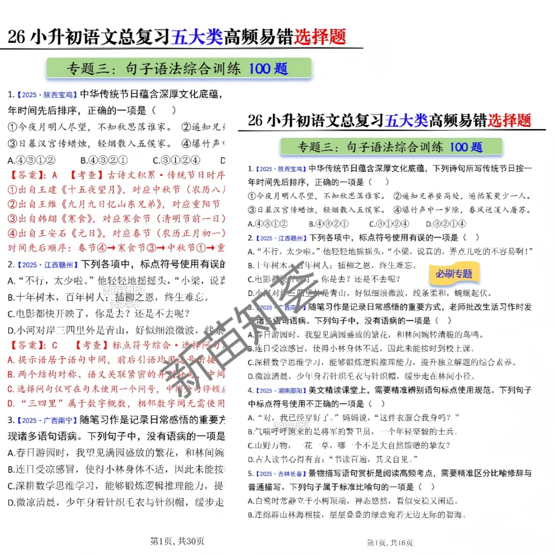 小升初语文期末复习五大真题专项练习-第5张图片-四季读书网