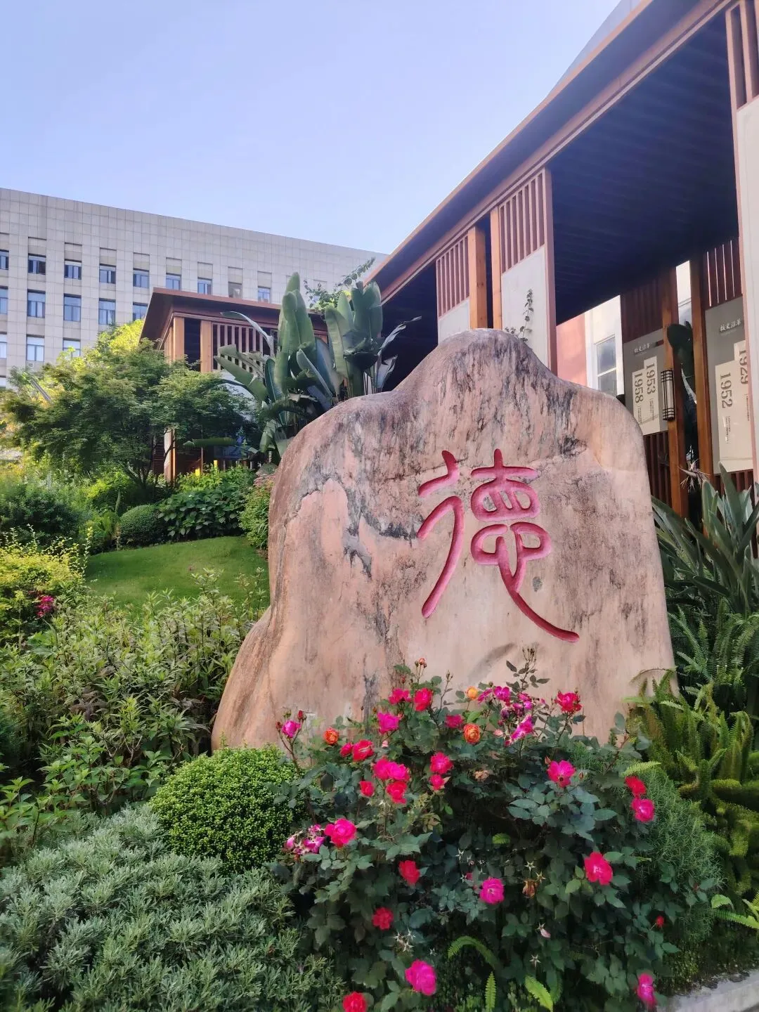 高考会比模考高多少分?-第3张图片-四季读书网