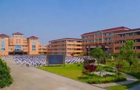 直击实验考点 合力中考攻坚-第1张图片-四季读书网