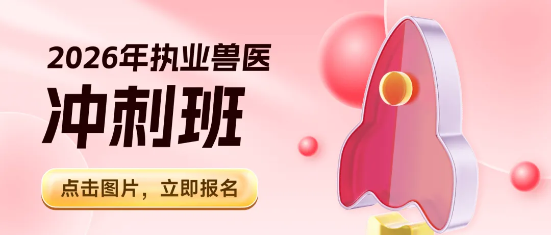 立足执兽真题,解锁破题技巧!-第3张图片-四季读书网 立足执兽真题,解锁破题技巧!-第3张图片-四季读书网