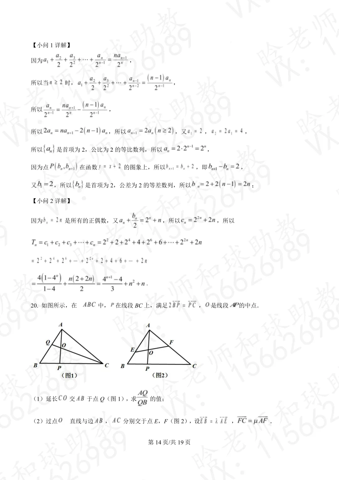 2025华二高一下学期期末数学真题卷(含答案)文末有链接-第17张图片-四季读书网