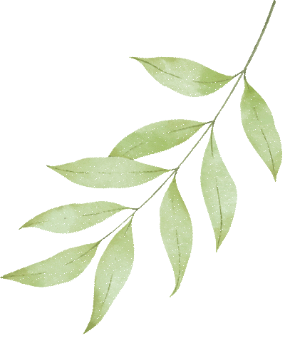 【中考助力】舒缓备考压力,从容迎战中考 —— 我校开展九年级考前心理减压专题讲座-第5张图片-四季读书网 【中考助力】舒缓备考压力,从容迎战中考 —— 我校开展九年级考前心理减压专题讲座-第5张图片-四季读书网
