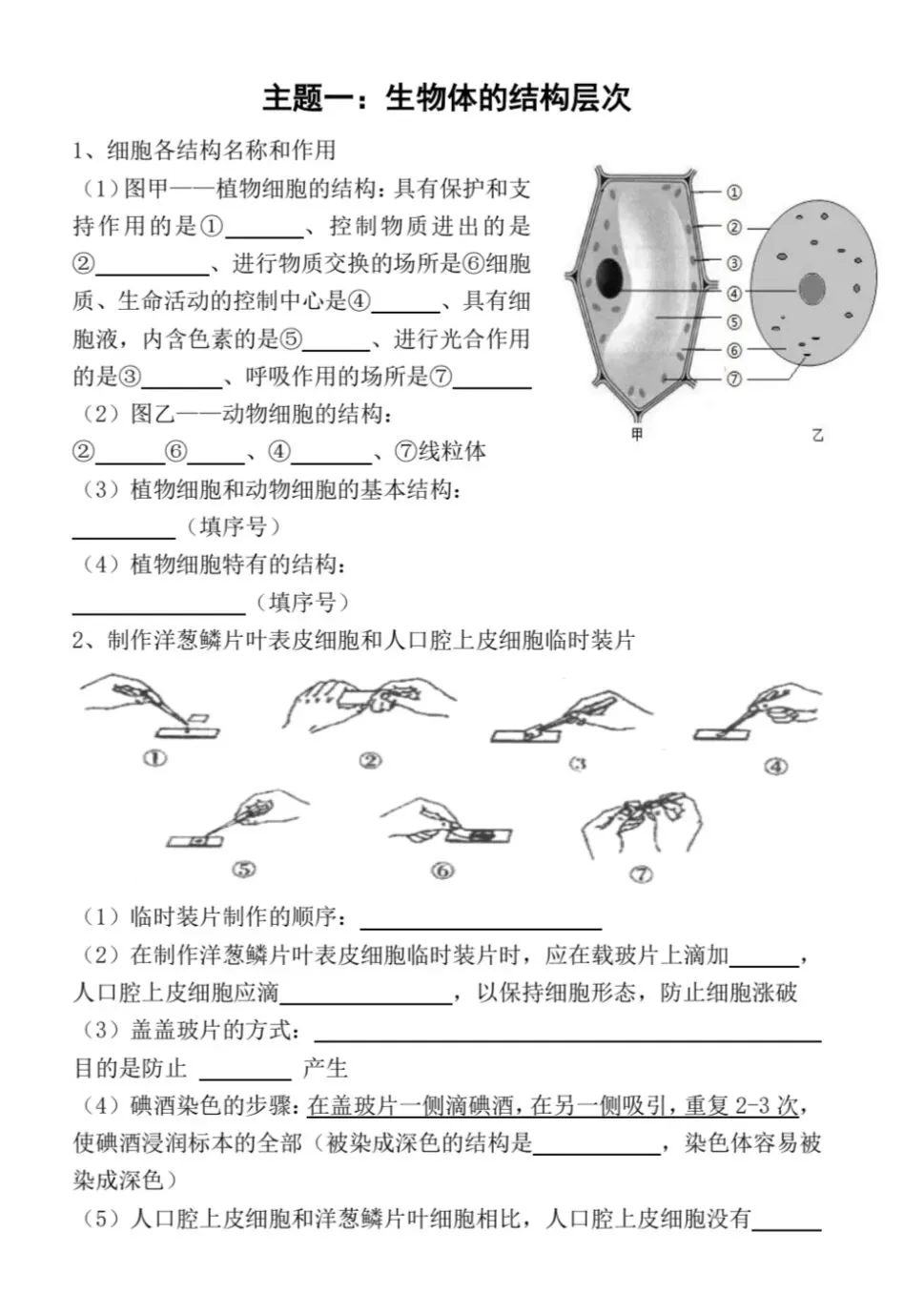 初中生物中考复习主题练习-第1张图片-四季读书网
