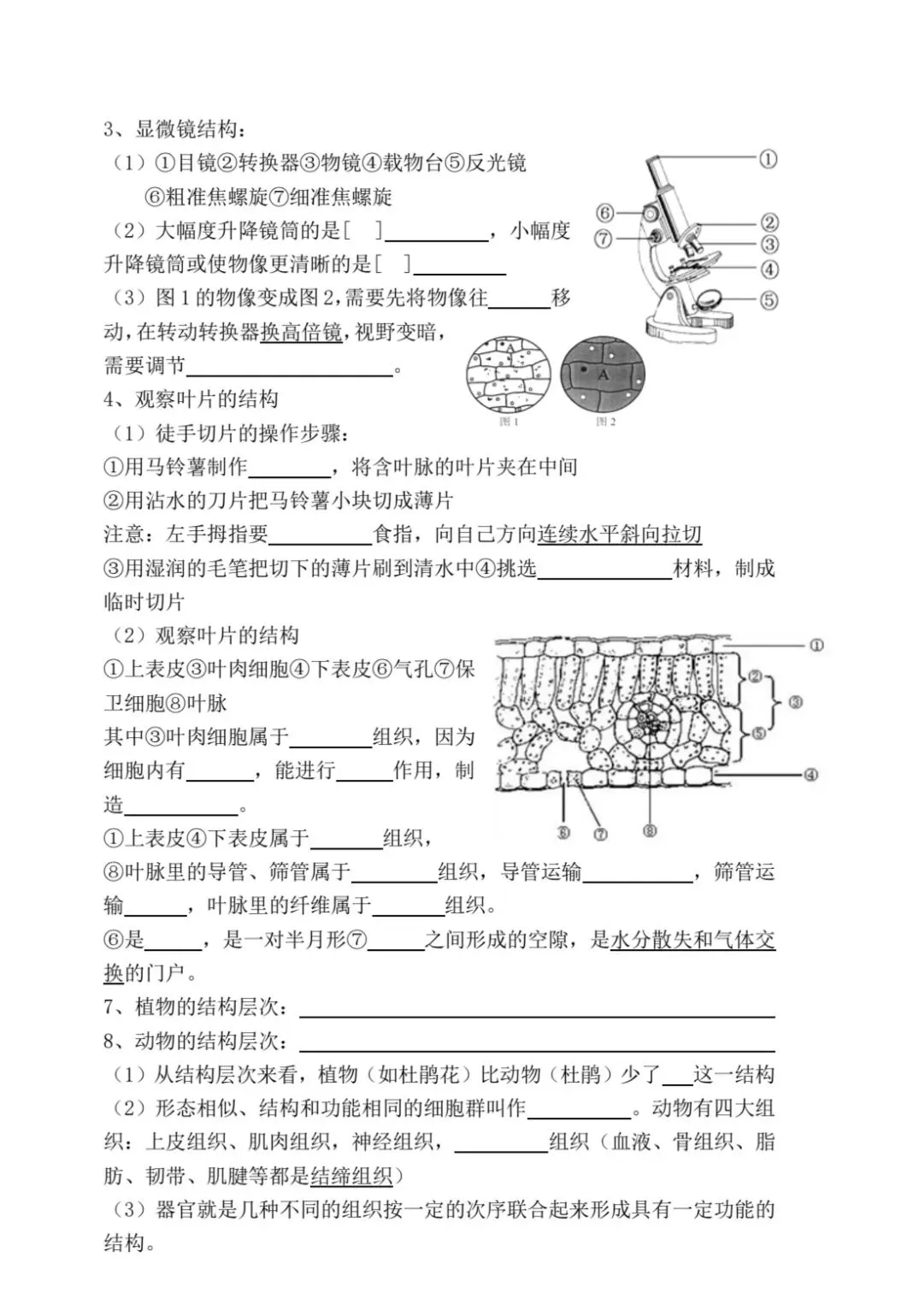 初中生物中考复习主题练习-第2张图片-四季读书网
