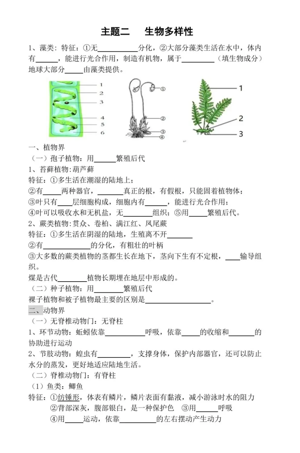 初中生物中考复习主题练习-第3张图片-四季读书网