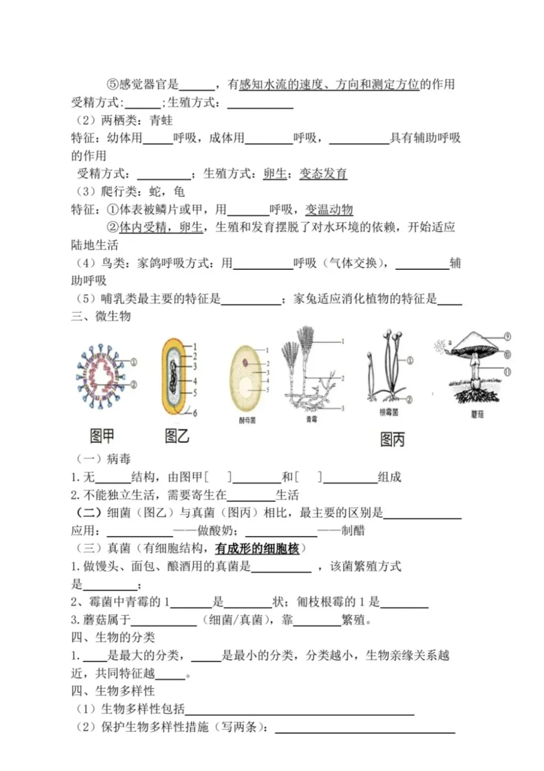 初中生物中考复习主题练习-第4张图片-四季读书网