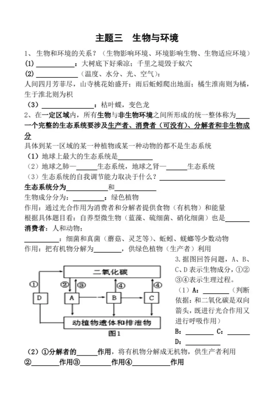 初中生物中考复习主题练习-第5张图片-四季读书网
