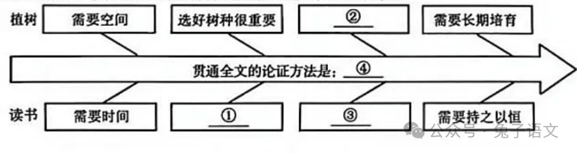 2025年中考议论文阅读汇编2-第1张图片-四季读书网