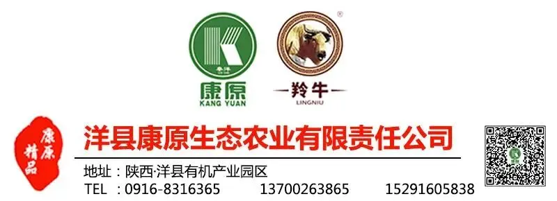 高、中考前夕,洋县中学发布紧急提醒!-第1张图片-四季读书网