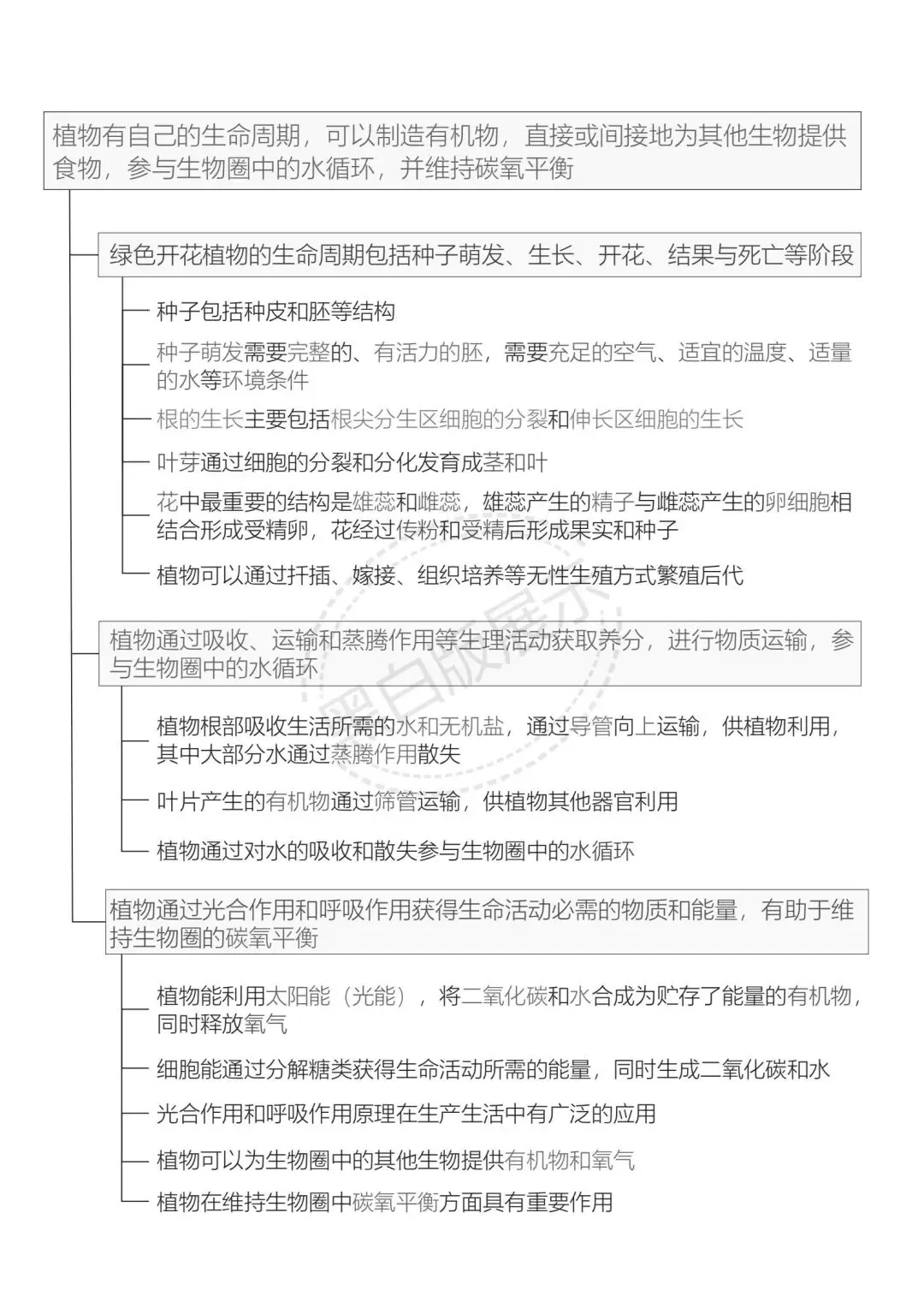 中考生物备考:植物的生活思维导图+必刷真题-第1张图片-四季读书网 中考生物备考:植物的生活思维导图+必刷真题-第1张图片-四季读书网