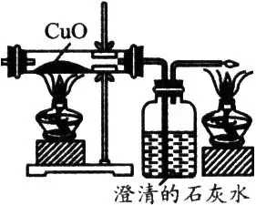 初中化学中考复习:物质检验与鉴别-第4张图片-四季读书网 初中化学中考复习:物质检验与鉴别-第4张图片-四季读书网