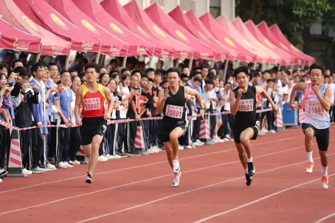 中考高中学校2026年招生简章-41:南头中学-第17张图片-四季读书网