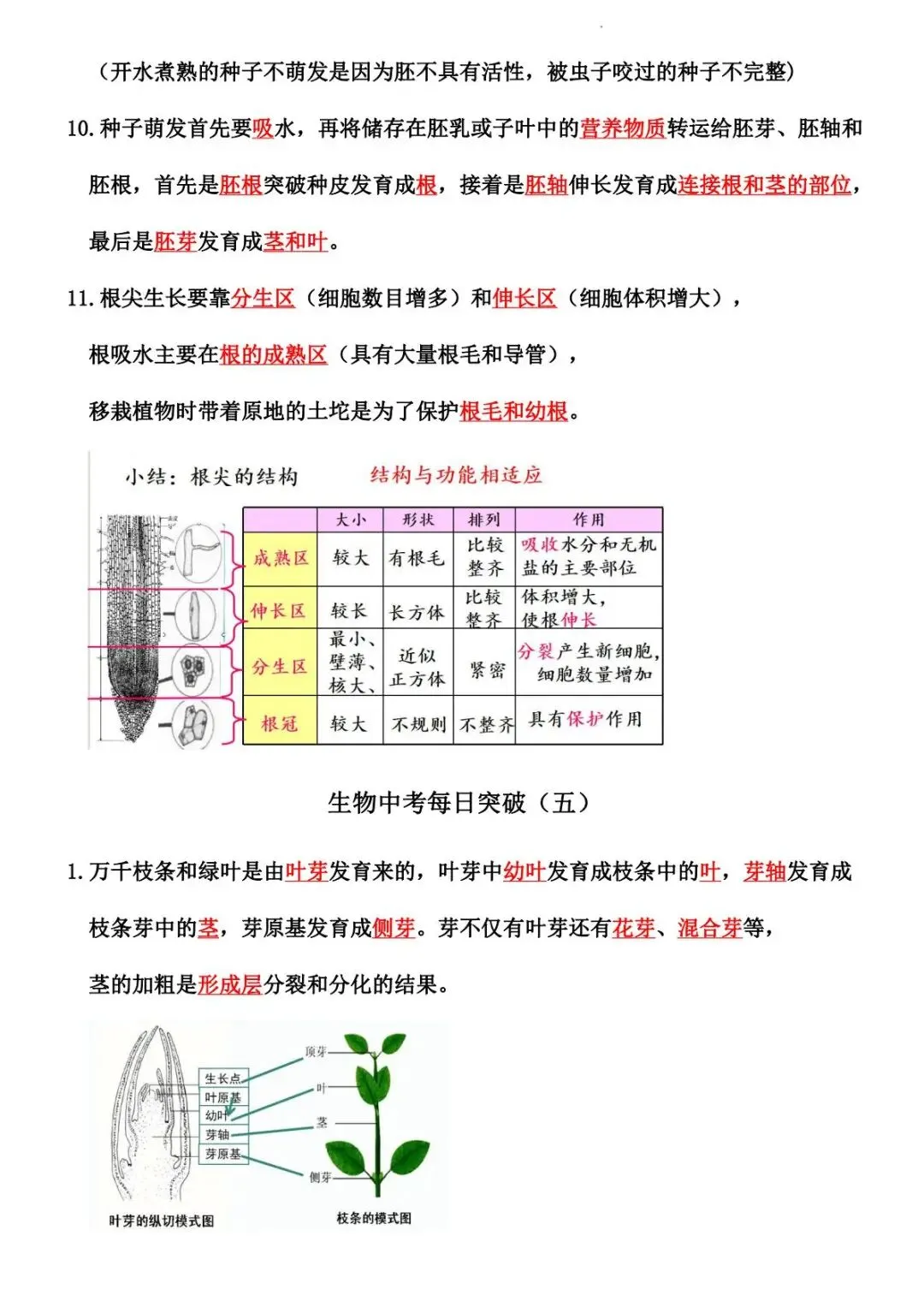 2026 生物中考:每日重点突破训练-第7张图片-四季读书网