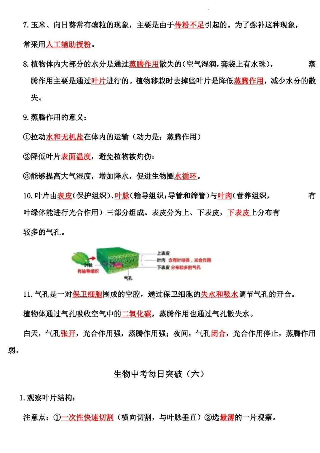2026 生物中考:每日重点突破训练-第9张图片-四季读书网