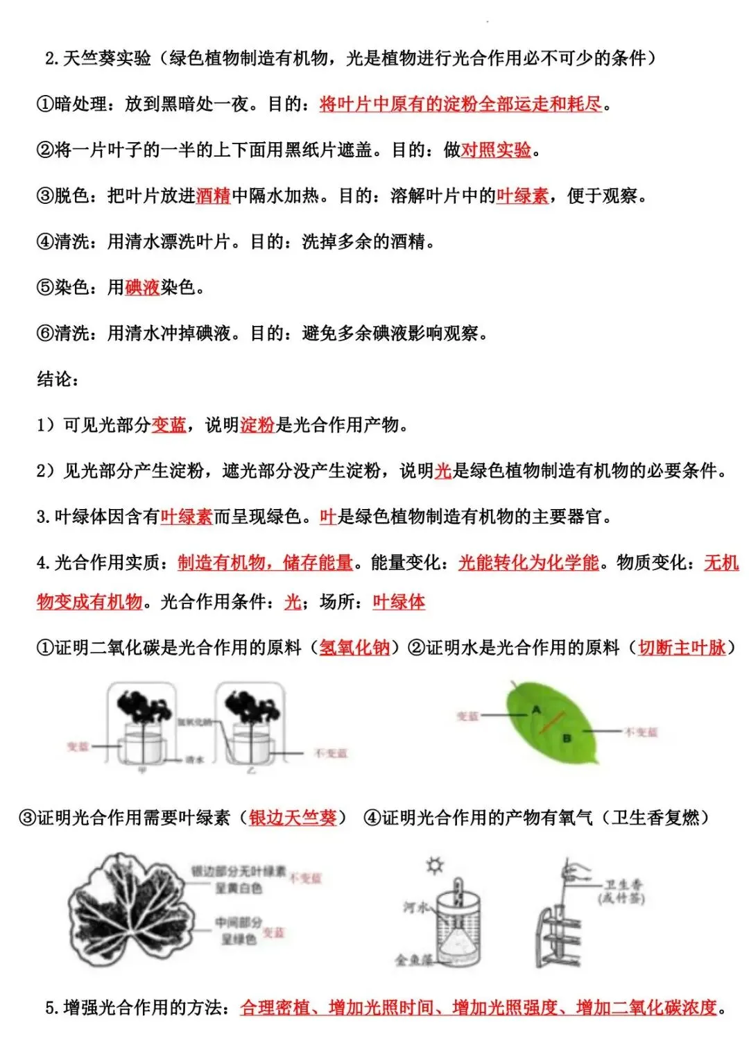 2026 生物中考:每日重点突破训练-第10张图片-四季读书网