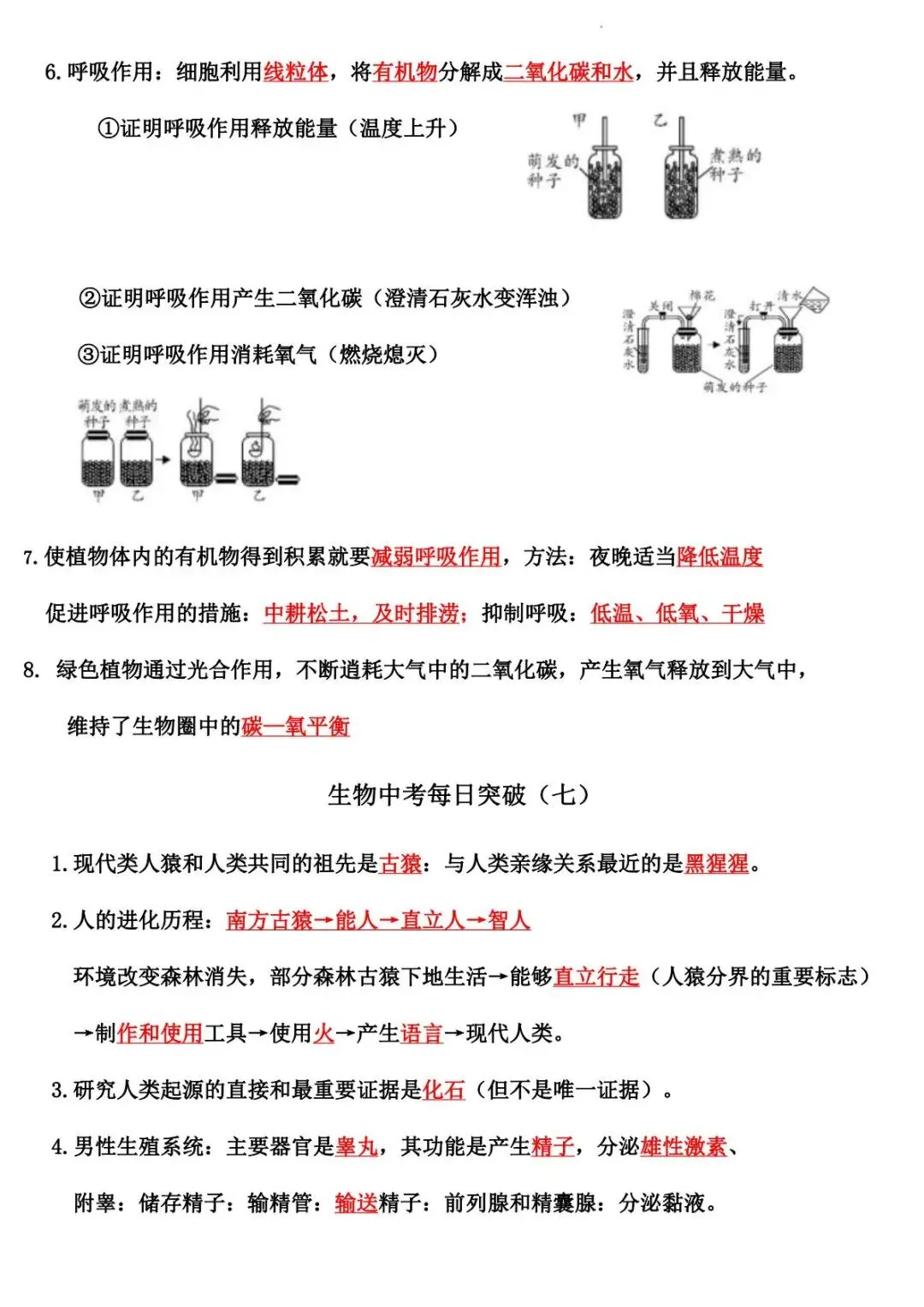 2026 生物中考:每日重点突破训练-第11张图片-四季读书网