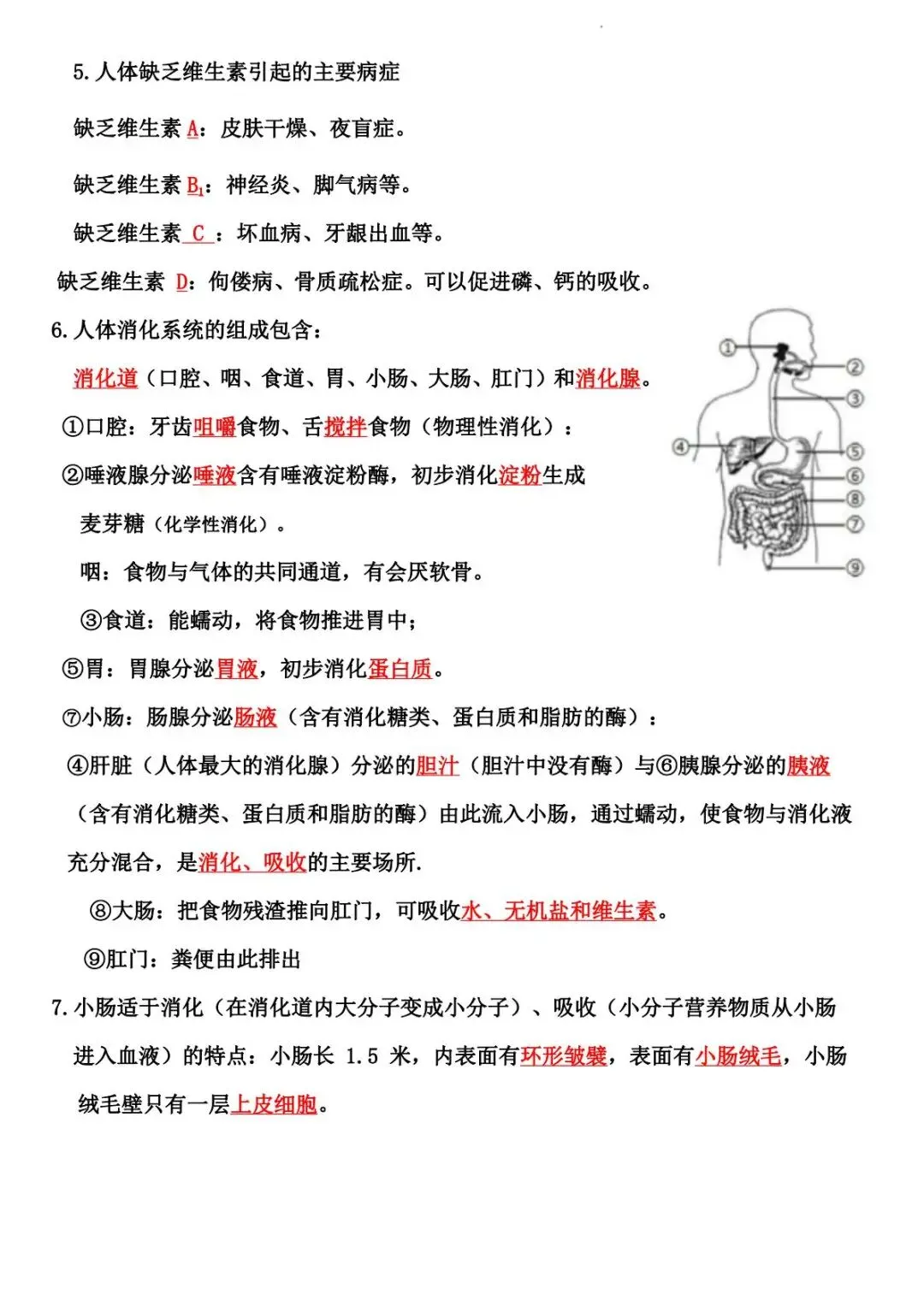 2026 生物中考:每日重点突破训练-第13张图片-四季读书网
