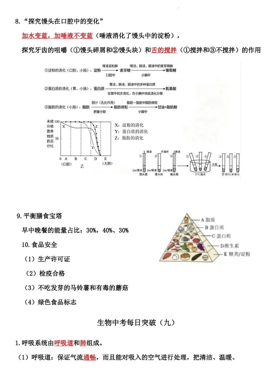 2026 生物中考:每日重点突破训练-第14张图片-四季读书网