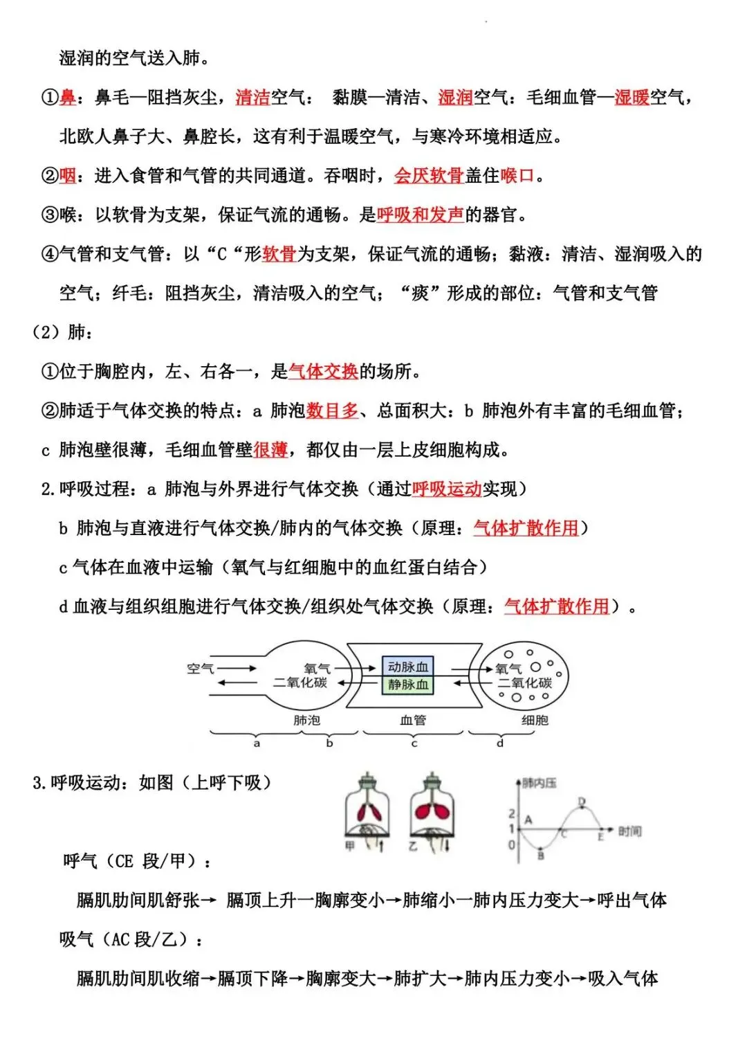 2026 生物中考:每日重点突破训练-第15张图片-四季读书网