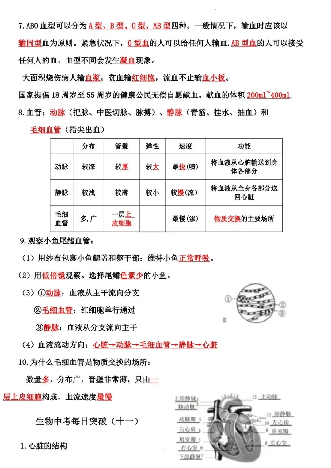 2026 生物中考:每日重点突破训练-第17张图片-四季读书网