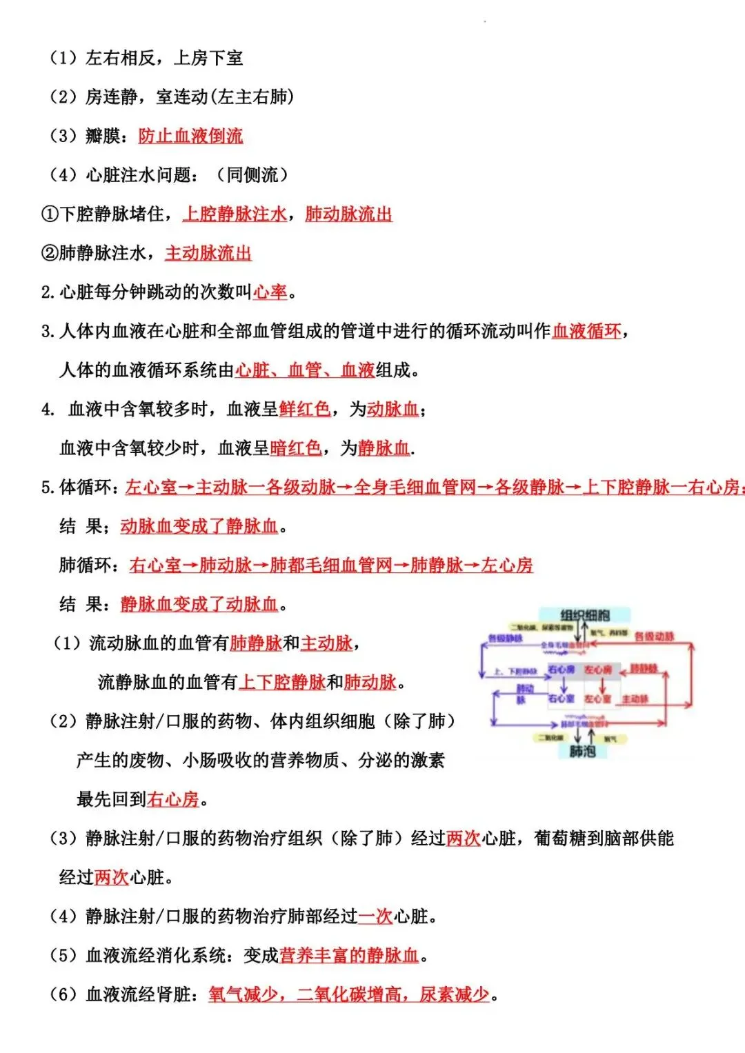 2026 生物中考:每日重点突破训练-第18张图片-四季读书网