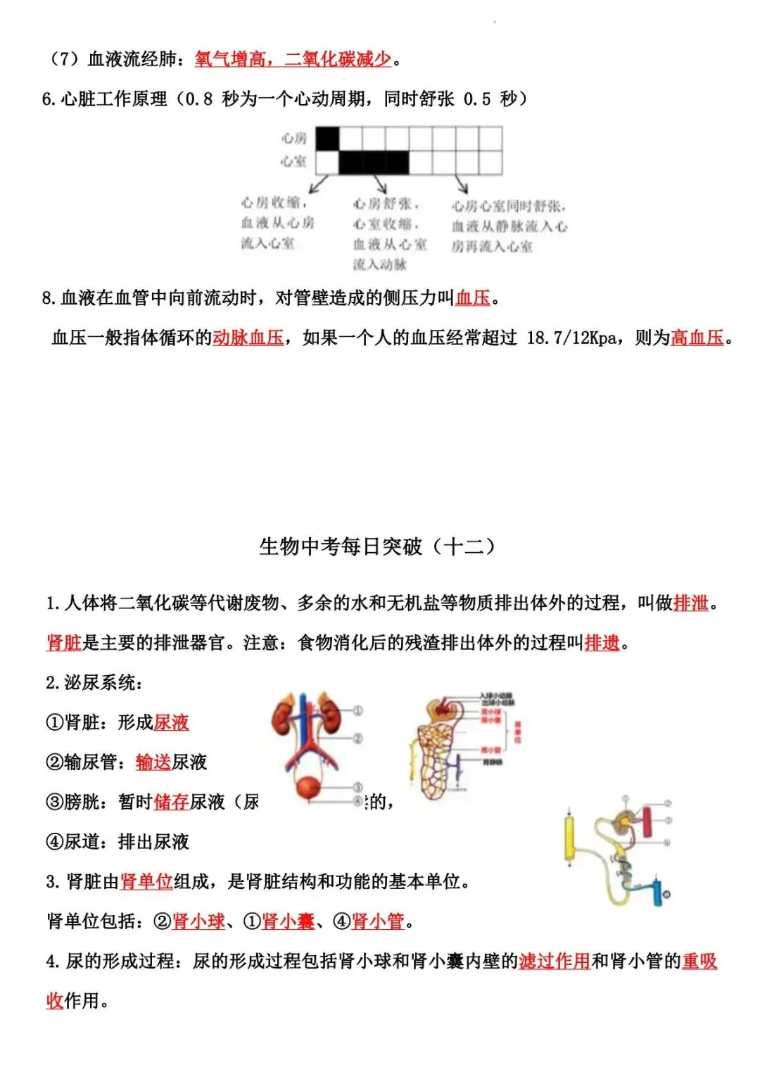2026 生物中考:每日重点突破训练-第19张图片-四季读书网