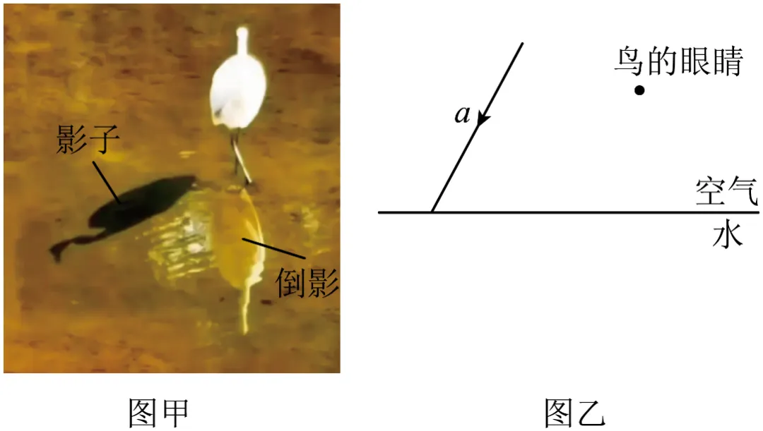 2026年中考物理终极押题卷5份-第23张图片-四季读书网 2026年中考物理终极押题卷5份-第23张图片-四季读书网
