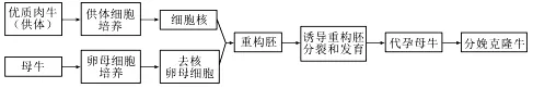 江苏省南京市2026届高三年级第二次模拟考试生物学答案及解析 ⊙-第7张图片-四季读书网