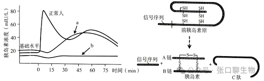 江苏省南京市2026届高三年级第二次模拟考试生物学答案及解析 ⊙-第10张图片-四季读书网