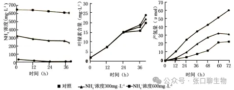 江苏省南京市2026届高三年级第二次模拟考试生物学答案及解析 ⊙-第12张图片-四季读书网