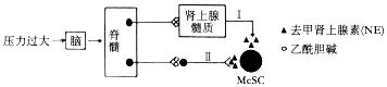 江苏省南京市2026届高三年级第二次模拟考试生物学答案及解析 ⊙-第13张图片-四季读书网