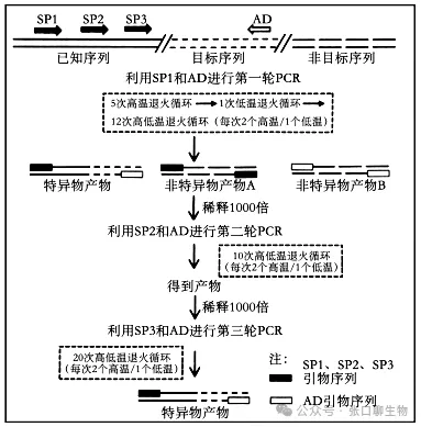 江苏省南京市2026届高三年级第二次模拟考试生物学答案及解析 ⊙-第18张图片-四季读书网
