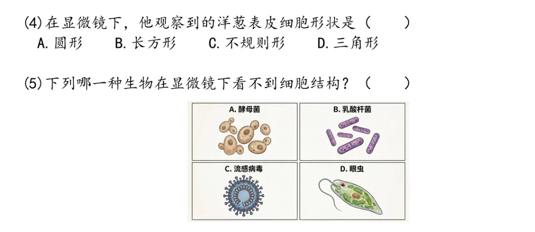 【情境试卷】六年级科学综合复习A卷,毕业季主题,自取!【吴健老师科学资料】-第3张图片-四季读书网