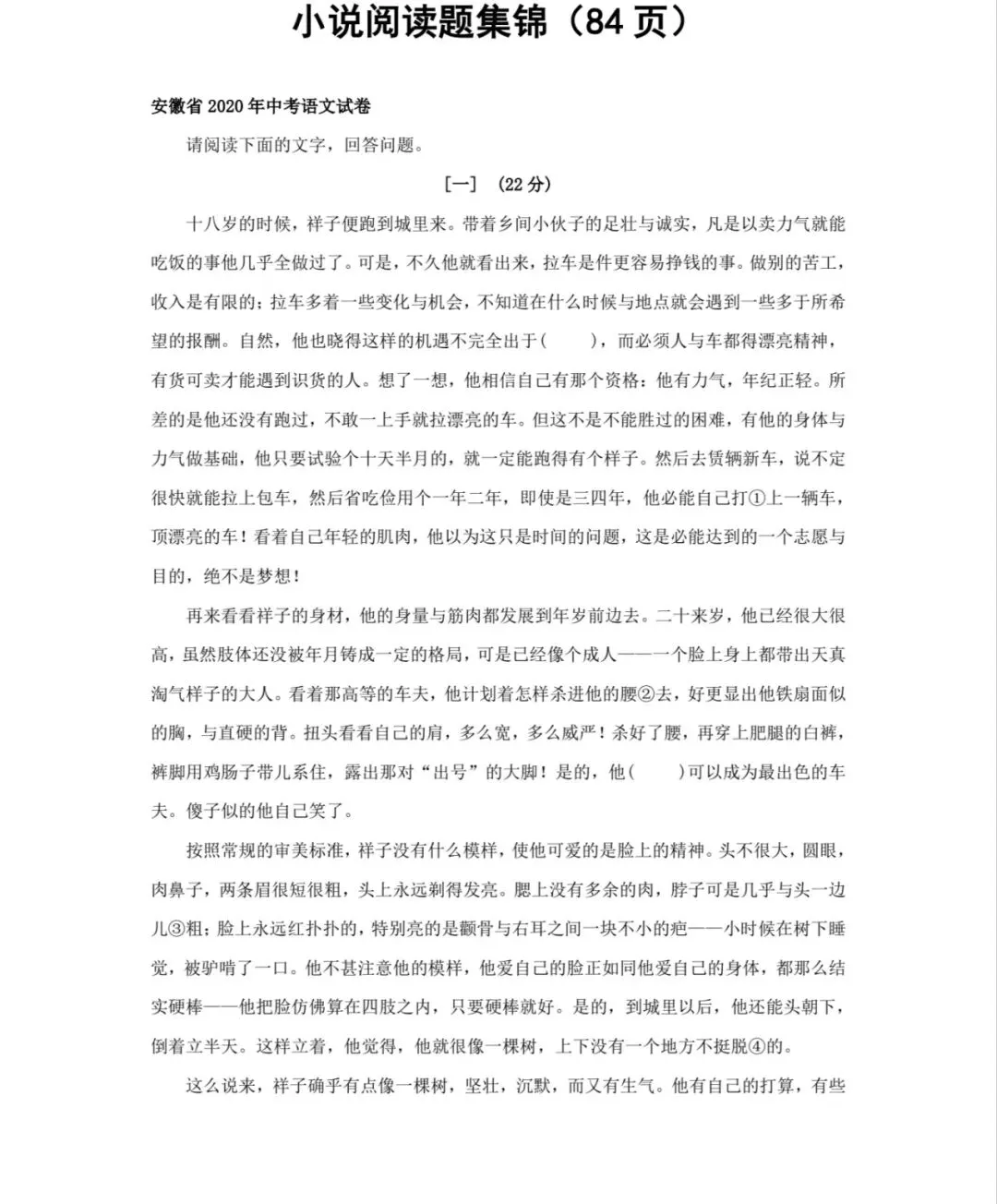 中考语文小说阅读集锦-第1张图片-四季读书网